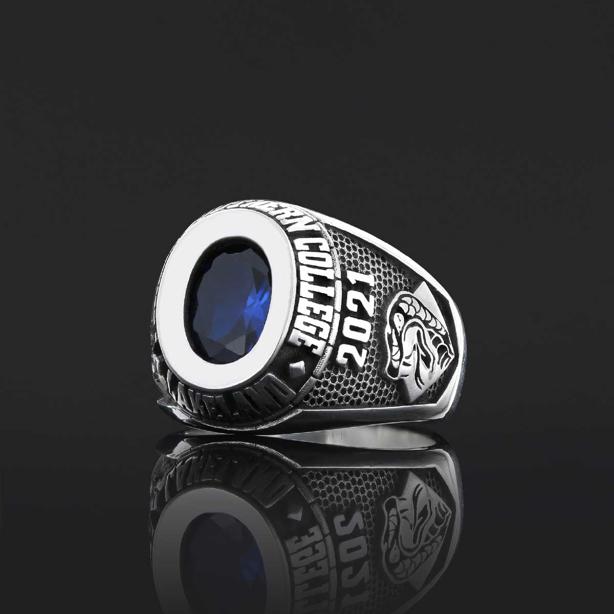 Georgia Southern University Ring, Customized High School Ring, University Ring, Customized Class Ring Georgia Southern University Ring, Customized High School Ring, University Ring, Customized Class Ring