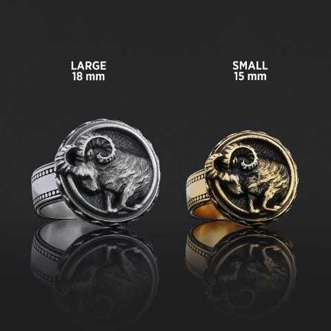 Aries Zodiac Silver Ring