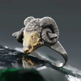 Ram Ring