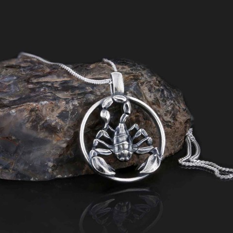 Scorpio Pendant, Sterling Silver Scorpio Necklace, Scorpio Jewelry, Horoscope Scorpio Necklace