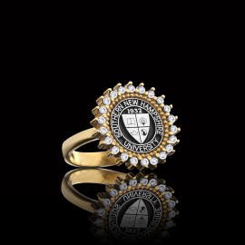 Southern New Hampshire University 925 Sterling Ring