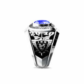 Turkey International Bodyguard Association Ring